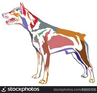 Colorful contour decorative portrait of standing in profile dog Miniature Pinscher, vector isolated illustration on white background