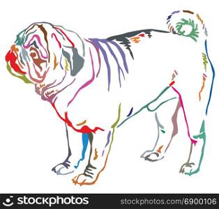 Colorful contour decorative portrait of standing in profile dog pug, vector isolated illustration on white background
