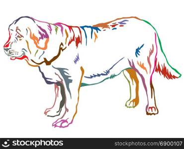 Colorful contour decorative portrait of standing in profile dog Spanish Mastiff, vector isolated illustration on white background