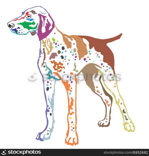 Colorful contour decorative portrait of standing in profile German Shorthaired Pointer, vector isolated illustration on white background