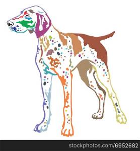 Colorful contour decorative portrait of standing in profile German Shorthaired Pointer, vector isolated illustration on white background
