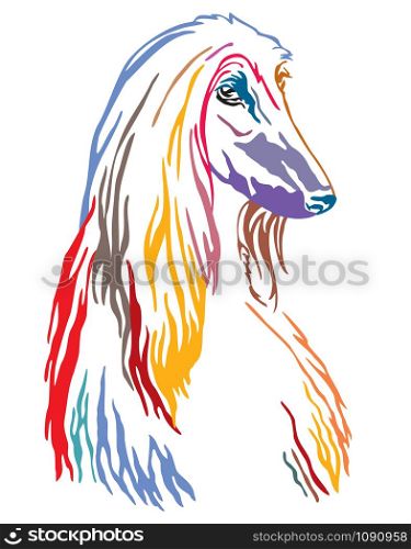 Colorful decorative contour outline portrait of Dog Afghan Hound looking in profile, vector illustration in different colors isolated on white background. Image for design and tattoo.
