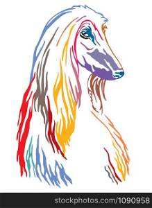 Colorful decorative contour outline portrait of Dog Afghan Hound looking in profile, vector illustration in different colors isolated on white background. Image for design and tattoo.