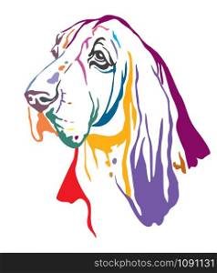 Colorful decorative contour outline portrait of Dog Basset Hound looking in profile, vector illustration in different colors isolated on white background. Image for design and tattoo.