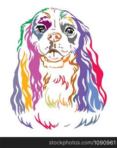 Colorful decorative contour outline portrait of Dog Cavalier King Charles Spaniel, vector illustration in different colors isolated on white background. Image for design and tattoo.