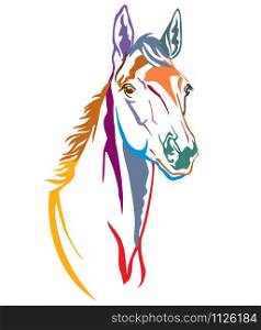 Colorful decorative contour portrait of beautiful foal, vector illustration in different colors isolated on white background. Image for logo, design and tattoo.