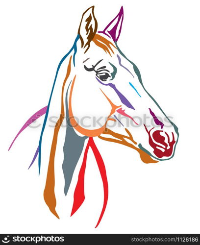 Colorful decorative contour portrait of beautiful horse, looking in profile. Vector illustration in different colors isolated on white background. Image for logo, design and tattoo.