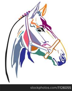 Colorful decorative contour portrait of beautiful racing horse in bridle looking in profile, vector illustration in different colors isolated on white background. Image for logo, design and tattoo.