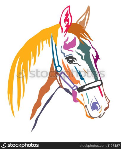 Colorful decorative contour portrait of beautiful racing horse in halter looking in profile, vector illustration in different colors isolated on white background. Image for logo, design and tattoo.