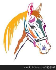 Colorful decorative contour portrait of beautiful racing horse in halter looking in profile, vector illustration in different colors isolated on white background. Image for logo, design and tattoo.