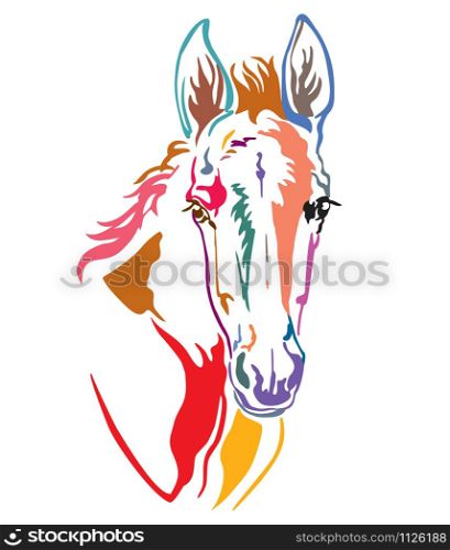 Colorful decorative contour portrait of funny foal, vector illustration in different colors isolated on white background. Image for logo, design and tattoo.