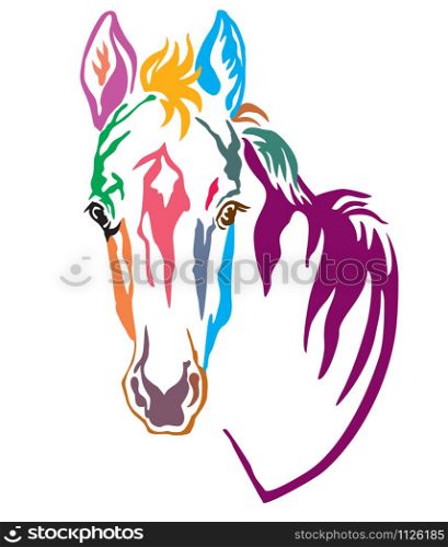 Colorful decorative contour portrait of pretty foal, vector illustration in different colors isolated on white background. Image for logo, design and tattoo.