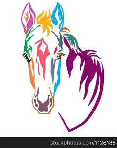 Colorful decorative contour portrait of pretty foal, vector illustration in different colors isolated on white background. Image for logo, design and tattoo.