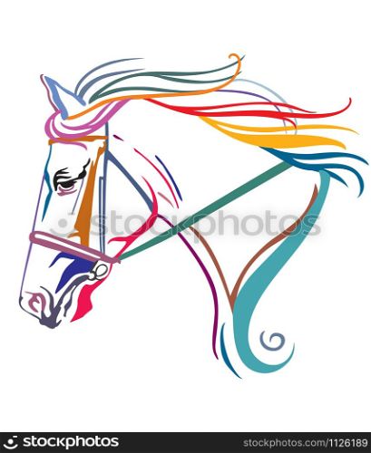 Colorful decorative contour portrait of running horse in bridle and long mane, looking in profile. Vector illustration in different colors isolated on white background. Image for design, logo and tattoo.