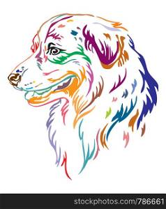Colorful decorative outline portrait of Australian Shepherd Dog looking in profile, vector illustration in different colors isolated on white background. Image for design and tattoo.