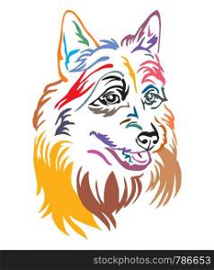 Colorful decorative outline portrait of Australian Terrier Dog, vector illustration in different colors isolated on white background. Image for design and tattoo.