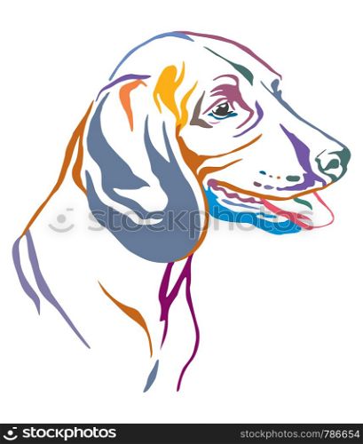 Colorful decorative outline portrait of Bavarian Mountain Hound Dog looking in profile, vector illustration in different colors isolated on white background. Image for design and tattoo.