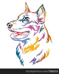 Colorful decorative outline portrait of Beauceron Dog looking in profile, vector illustration in different colors isolated on white background. Image for design and tattoo.