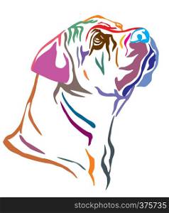 Colorful decorative outline portrait of Boerboel Dog looking in profile, vector illustration in different colors isolated on white background. Image for design and tattoo.