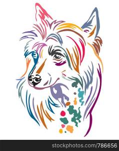 Colorful decorative outline portrait of Chinese Crested Dog, vector illustration in different colors isolated on white background. Image for design and tattoo.