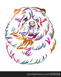 Colorful decorative outline portrait of Chow Chow Dog looking in profile, vector illustration in different colors isolated on white background. Image for design and tattoo.