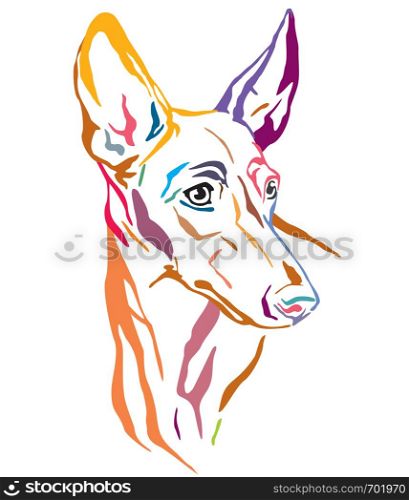 Colorful decorative outline portrait of Cirneco dell'Etna Dog looking in profile, vector illustration in different colors isolated on white background. Image for design and tattoo.