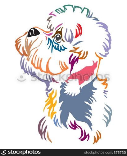 Colorful decorative outline portrait of Dandie Dinmont Terrier Dog looking in profile, vector illustration in different colors isolated on white background. Image for design and tattoo.