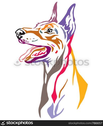 Colorful decorative outline portrait of Dobermann Dog looking in profile, vector illustration in different colors isolated on white background. Image for design and tattoo.
