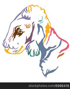 Colorful decorative outline portrait of Dog Bedlington Terrier looking in profile, vector illustration in different colors isolated on white background. Image for design and tattoo.