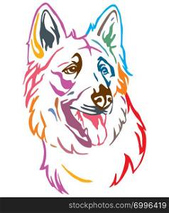 Colorful decorative outline portrait of Dog Berger Blanc Suisse, vector illustration in different colors isolated on white background. Image for design and tattoo.
