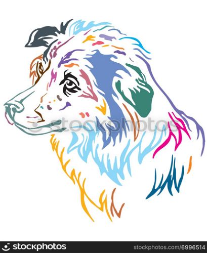 Colorful decorative outline portrait of Dog Border Collie looking in profile, vector illustration in different colors isolated on white background. Image for design and tattoo.