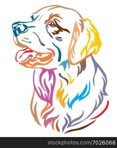 Colorful decorative outline portrait of Dog Golden Retriever looking in profile, vector illustration in different colors isolated on white background. Image for design and tattoo.