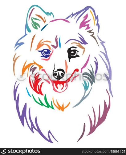 Colorful decorative outline portrait of Dog Japanese Spitz, vector illustration in different colors isolated on white background. Image for design and tattoo.