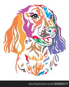 Colorful decorative outline portrait of Dog Russian Spaniel, vector illustration in different colors isolated on white background. Image for design and tattoo.