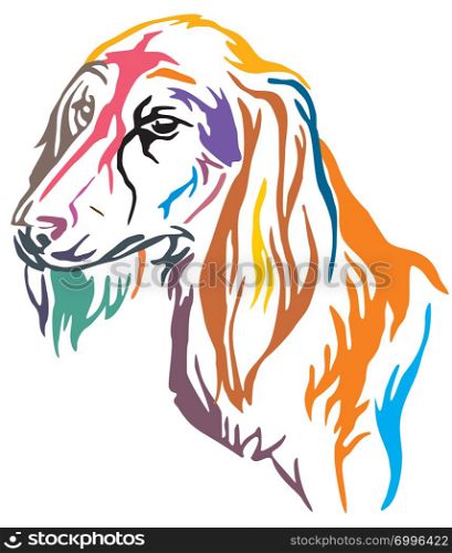 Colorful decorative outline portrait of Dog Saluki, vector illustration in different colors isolated on white background. Image for design and tattoo.