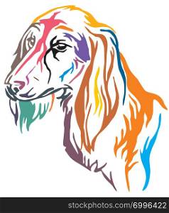 Colorful decorative outline portrait of Dog Saluki, vector illustration in different colors isolated on white background. Image for design and tattoo.