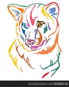 Colorful decorative outline portrait of Dog Shiba Inu, vector illustration in different colors isolated on white background. Image for design and tattoo.