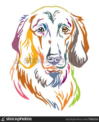 Colorful decorative outline portrait of Longhaired Weimaraner Dog, vector illustration in different colors isolated on white background. Image for design and tattoo.
