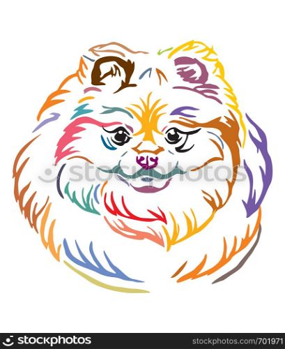 Colorful decorative outline portrait of Pomeranian Dog, vector illustration in different colors isolated on white background. Image for design and tattoo.