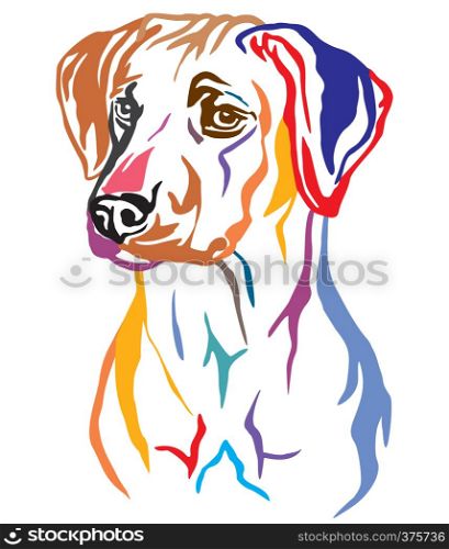Colorful decorative outline portrait of Rhodesian Ridgeback Dog looking in profile, vector illustration in different colors isolated on white background. Image for design and tattoo.