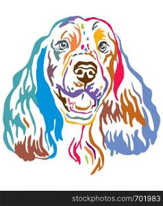 Colorful decorative outline portrait of Springer Spaniel Dog, vector illustration in different colors isolated on white background. Image for design and tattoo.