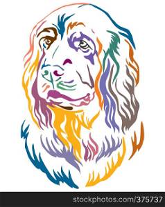 Colorful decorative outline portrait of Sussex Spaniel Dog looking in profile, vector illustration in different colors isolated on white background. Image for design and tattoo.