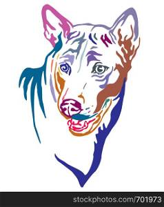 Colorful decorative outline portrait of Thai Ridgeback Dog, vector illustration in different colors isolated on white background. Image for design and tattoo.
