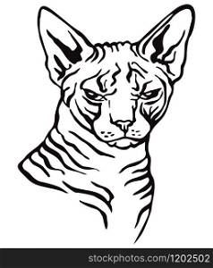 Colorful decorative portrait of angry sphinx cat, contour vector illustration in black color isolated on white background. Image for design and tattoo.