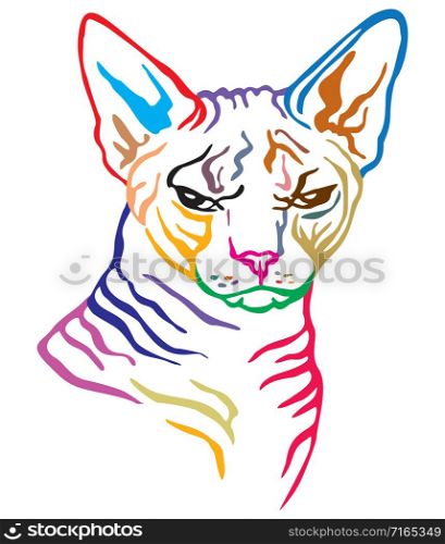 Colorful decorative portrait of angry sphinx cat, contour vector illustration in different colors isolated on white background. Image for design and tattoo.