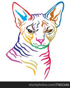 Colorful decorative portrait of angry sphinx cat, contour vector illustration in different colors isolated on white background. Image for design and tattoo.