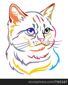 Colorful decorative portrait of British Cat, contour vector illustration in different colors isolated on white background. Image for design and tattoo.