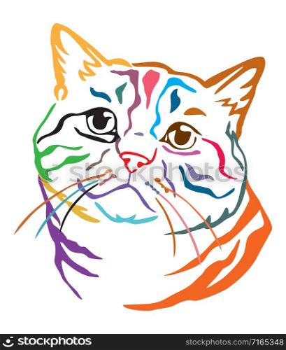 Colorful decorative portrait of British Cat, contour vector illustration in different colors isolated on white background. Image for design, cards and tattoo.