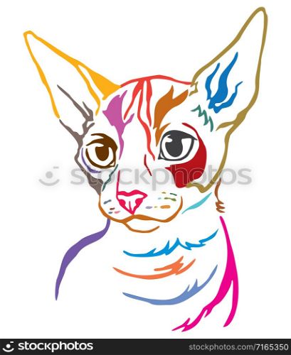 Colorful decorative portrait of Cornish Rex cat, contour vector illustration in different colors isolated on white background. Image for design and tattoo.