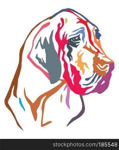 Colorful decorative portrait of dog Great Dane, vector illustration in different colors isolated on white background